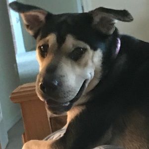 Meet your Posher, Kerri